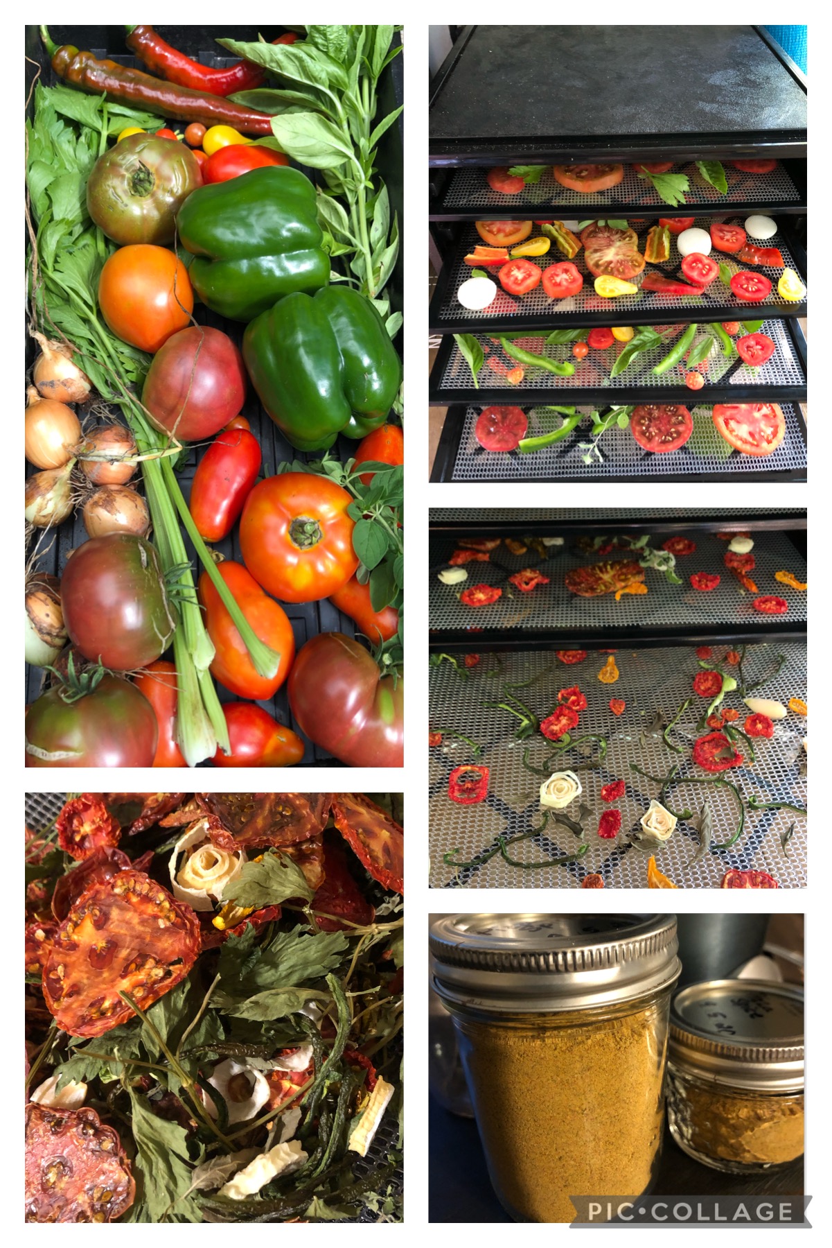 Image shows steps in turning fresh vegetables into canned spices.